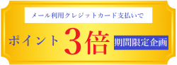 メール利用クレジットカード支払い